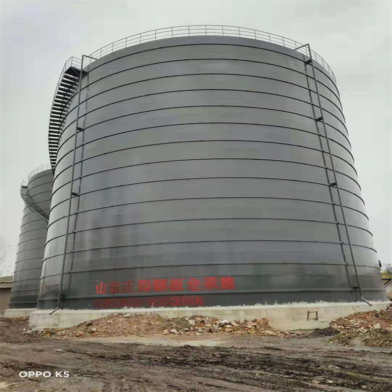 崇明3万吨大型钢板库